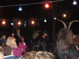 Gehörlosenverein Linz