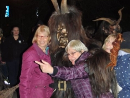 Gehörlosenverein Linz