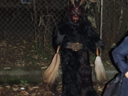 Gehörlosenverein Linz