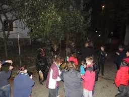 Gehörlosenverein Linz