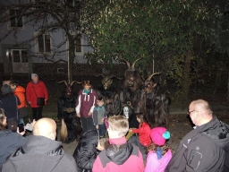 Gehörlosenverein Linz