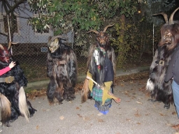 Gehörlosenverein Linz