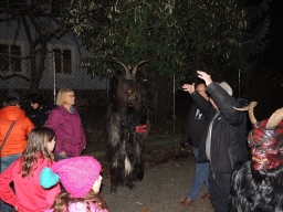 Gehörlosenverein Linz