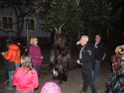 Gehörlosenverein Linz