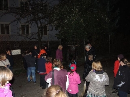 Gehörlosenverein Linz