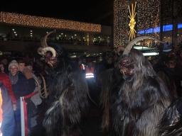 Adventmarkt Leonding