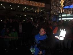 Adventmarkt Leonding