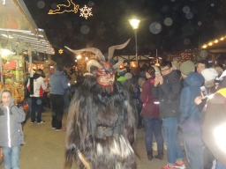 Adventmarkt Linz Volksgarten