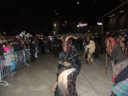Adventmarkt Linz Volksgarten