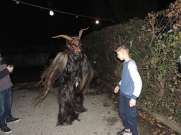 Gehörlosenverein Linz