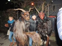 Gehörlosenverein Linz