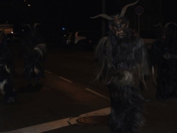 Gehörlosenverein Linz