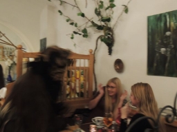 Gasthaus Fischermandl