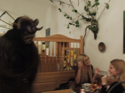 Gasthaus Fischermandl