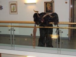 Nikolausfeier Altenheim