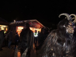 Adventmarkt Linz Volksgarten