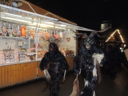 Adventmarkt Linz Volksgarten