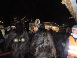Adventmarkt Linz Volksgarten
