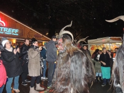 Adventmarkt Linz Volksgarten