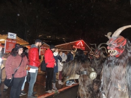 Adventmarkt Linz Volksgarten