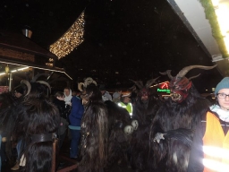 Adventmarkt Linz Volksgarten