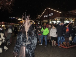 Adventmarkt Linz Volksgarten