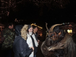 Adventmarkt Linz Volksgarten