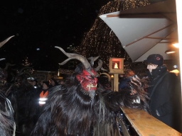 Adventmarkt Linz Volksgarten