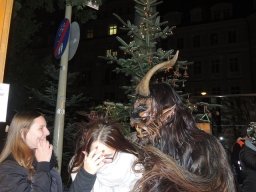 Adventmarkt Linz Volksgarten