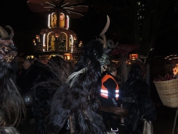 Adventmarkt Linz Volksgarten