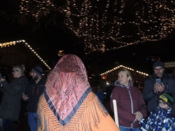 Adventmarkt Linz Volksgarten