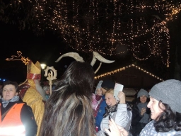 Adventmarkt Linz Volksgarten