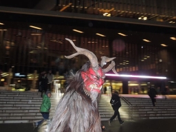 Adventmarkt Linz Volksgarten