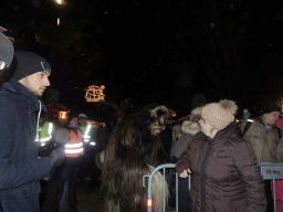 Adventmarkt Linz Volksgarten
