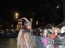Adventmarkt Linz Volksgarten