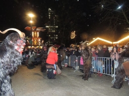 Adventmarkt Linz Volksgarten