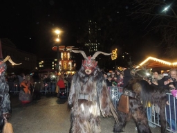 Adventmarkt Linz Volksgarten