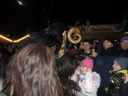 Adventmarkt Linz Volksgarten