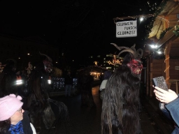 Adventmarkt Linz Volksgarten