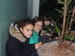 Weihnachtsfeier UKH Linz