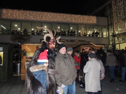 Adventmarkt Leonding