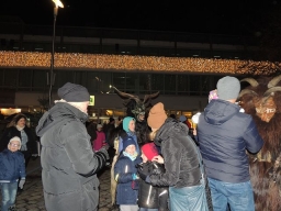 Adventmarkt Leonding