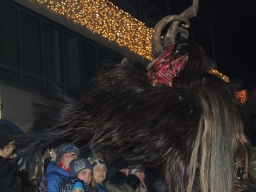 Adventmarkt Leonding