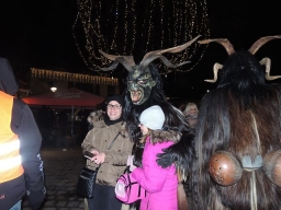 Adventmarkt Leonding