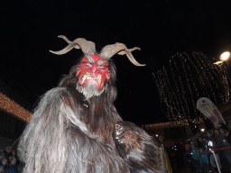 Adventmarkt Leonding