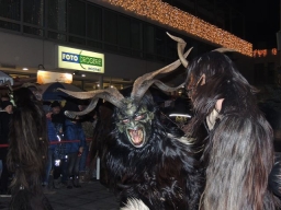 Adventmarkt Leonding