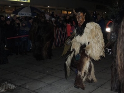 Adventmarkt Leonding