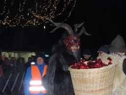 Adventmarkt Leonding