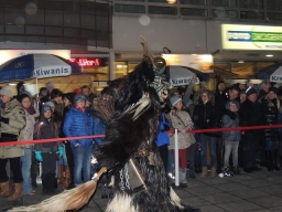 Adventmarkt Leonding