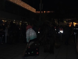 Adventmarkt Leonding